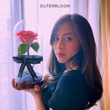 Enchanted Dome - Charming Pink