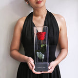 Enchanted Love Pirouette - Passionate Red