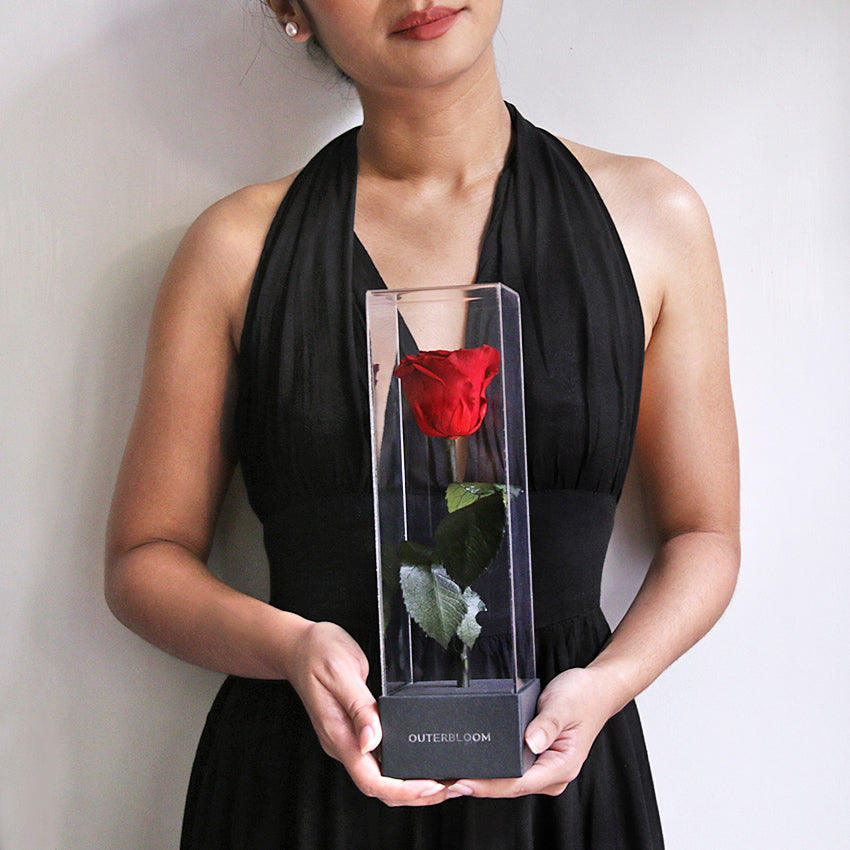 Enchanted Love Pirouette - Midnight Blue