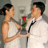 Enchanted Love Pirouette Special Edition - Sky Blue