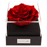 Outerbloom Moment of Love