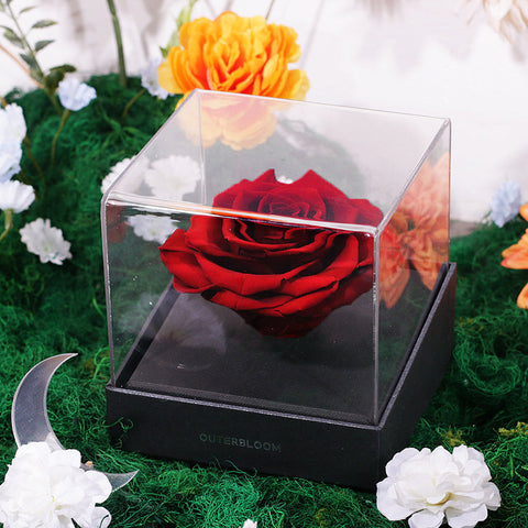 Signature Ramadan Prestige Hampers