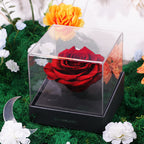 Signature Ramadan Vibrant Hampers