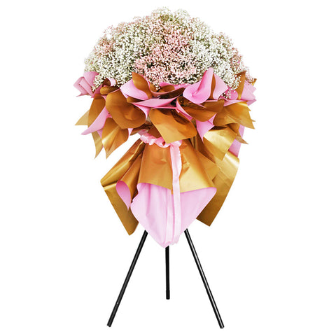 Baby's Breath Parade