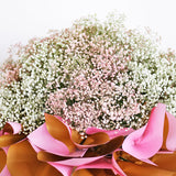 Baby's Breath Parade