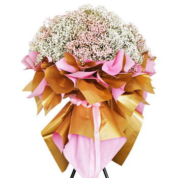 Baby's Breath Parade