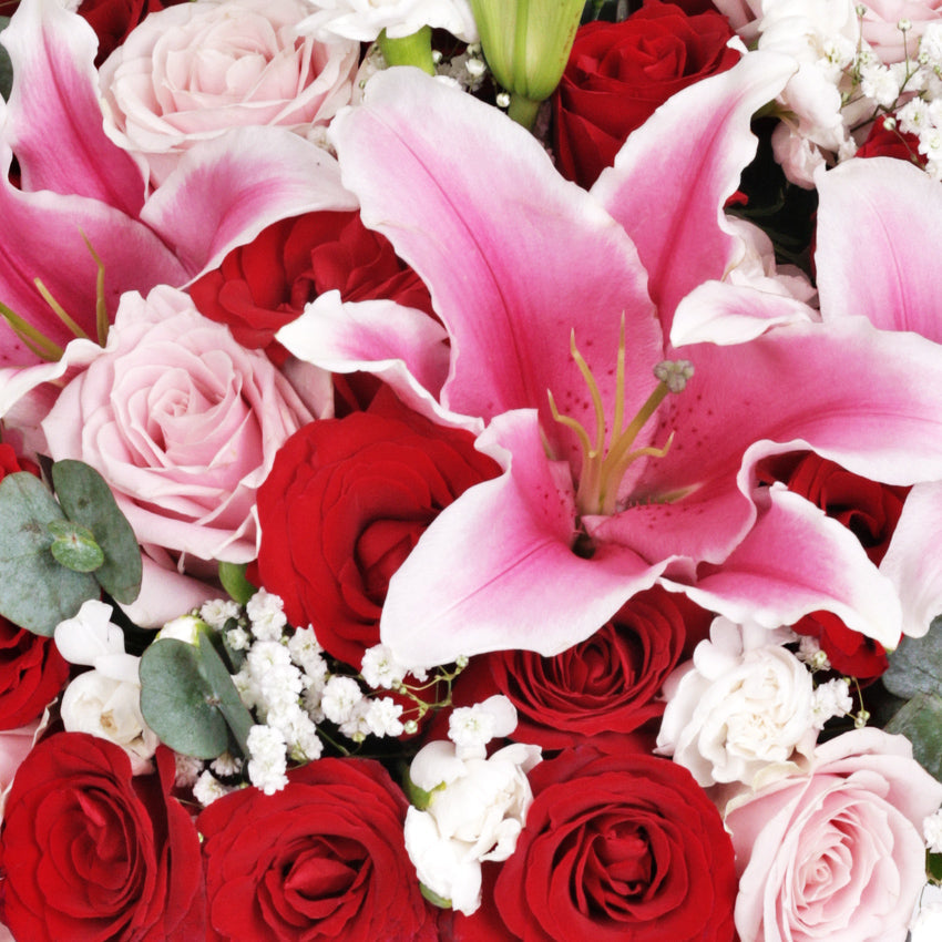 Bellarosa Bloom Box
