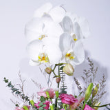 Bloom Sonata in Vase