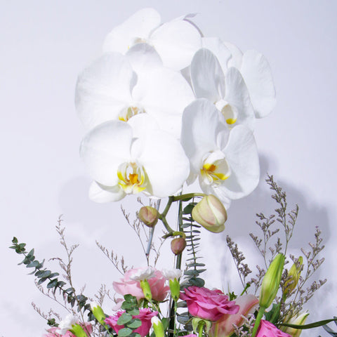 Bloom Sonata in Vase