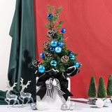 Outerbloom Blue Twinkle Pine in Pot