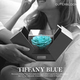 The Novo Astoria - Tiffany Blue