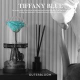 The Novo Enchanted Dome - Tiffany Blue