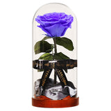 Enchanted Dome - Posh Purple