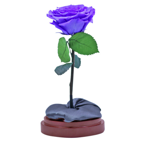 Enchanted Dome - Posh Purple