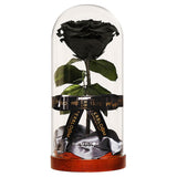 Enchanted Dome - Midnight Black