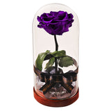 Enchanted Dome - Royal Purple