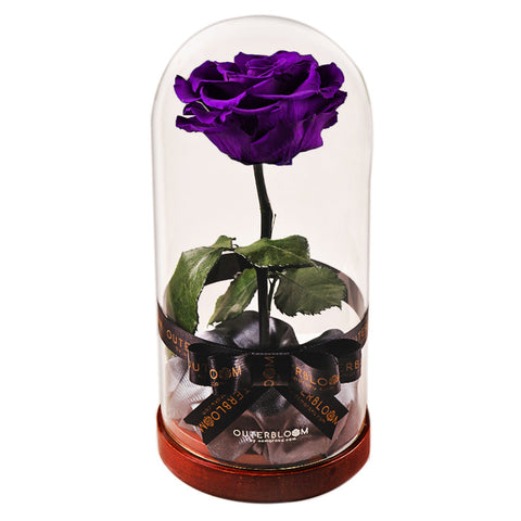 Enchanted Dome - Royal Purple