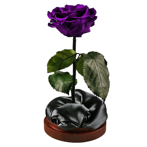 Enchanted Dome - Royal Purple