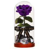 Enchanted Dome - Royal Purple