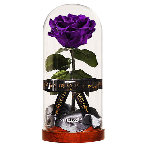 Enchanted Dome - Royal Purple