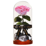 Enchanted Dome - Charming Pink