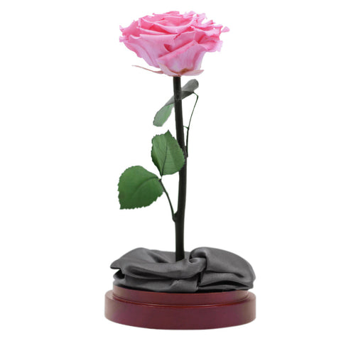 Enchanted Dome - Charming Pink