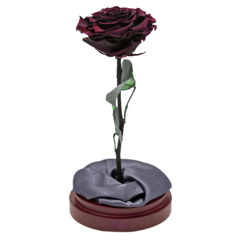 Enchanted Dome - Wine Red