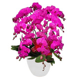Classic Purple Orchid Majesty in Vase