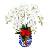 Classic White Orchid Majesty in Vase