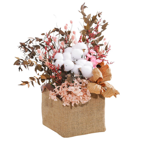 Cotton Dream in Basket