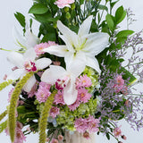 Daydream Lily in Vase