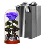 Enchanted Dome - Posh Purple