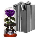 Enchanted Dome - Royal Purple