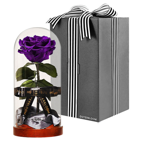 Enchanted Dome - Royal Purple