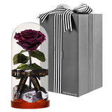 Enchanted Dome - Wine Red