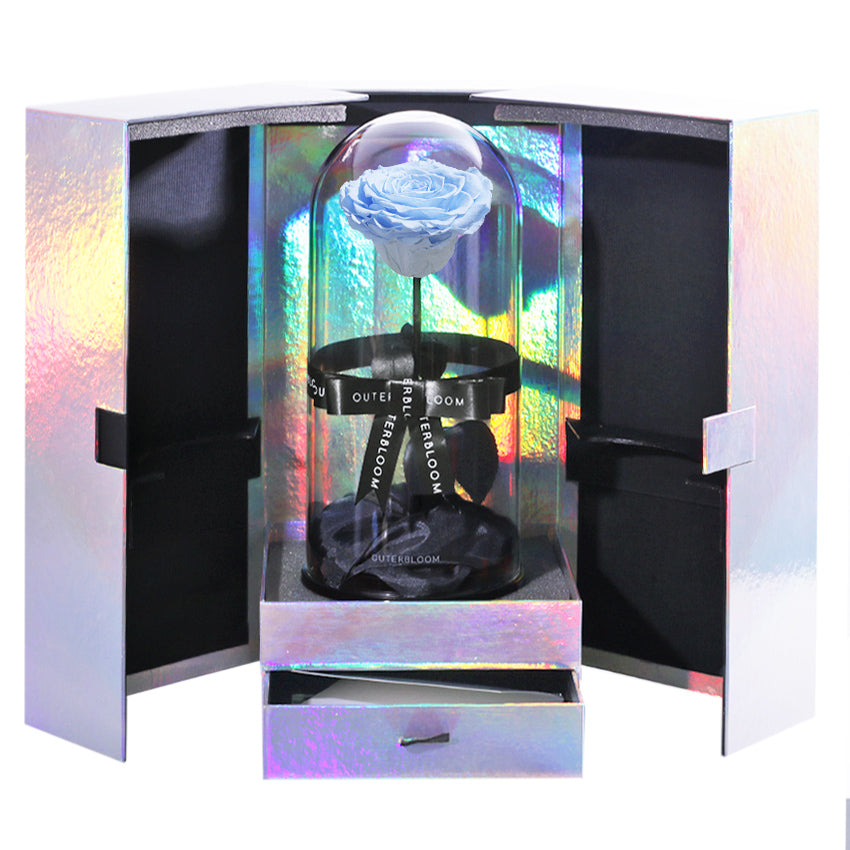 The Novo Enchanted Dome Special Edition - Sky Blue