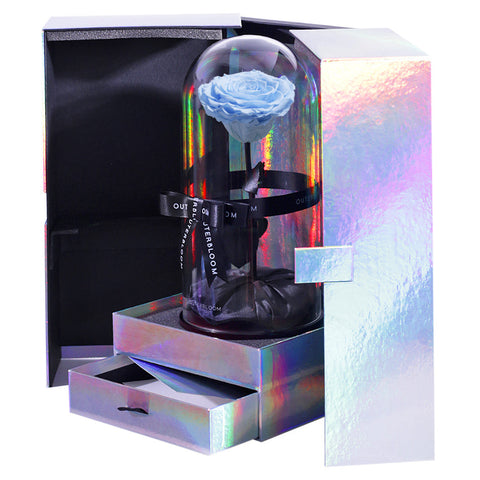 The Novo Enchanted Dome Special Edition - Sky Blue