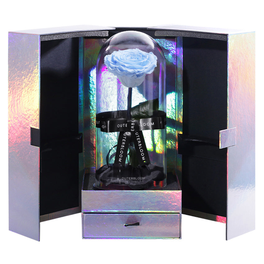 The Novo Enchanted Dome Special Edition - Sky Blue