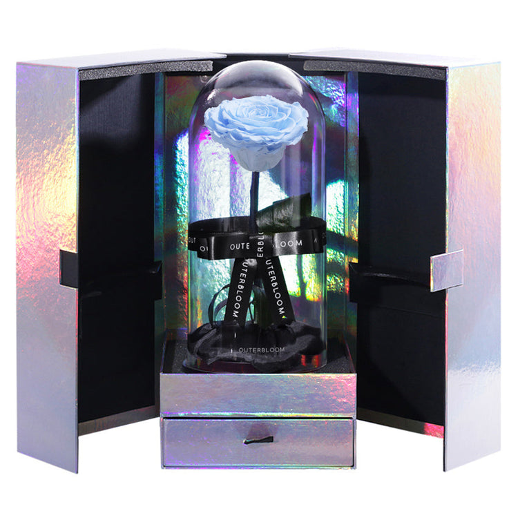 The Novo Enchanted Dome Special Edition - Sky Blue