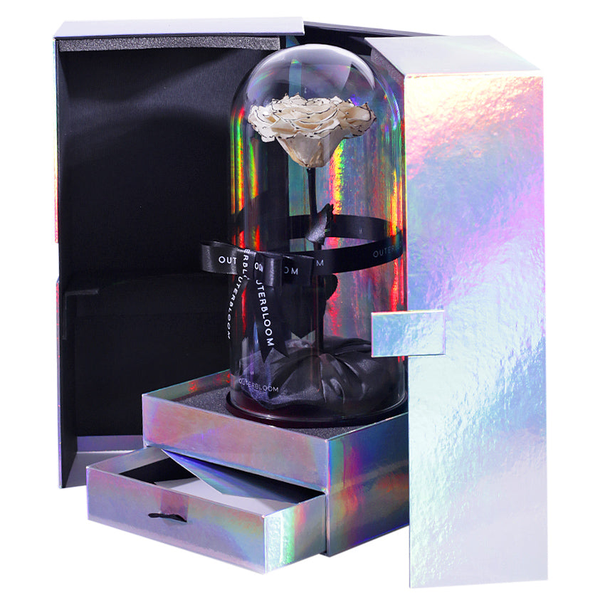 The Novo Enchanted Dome Special Edition - Velvet Monochrome