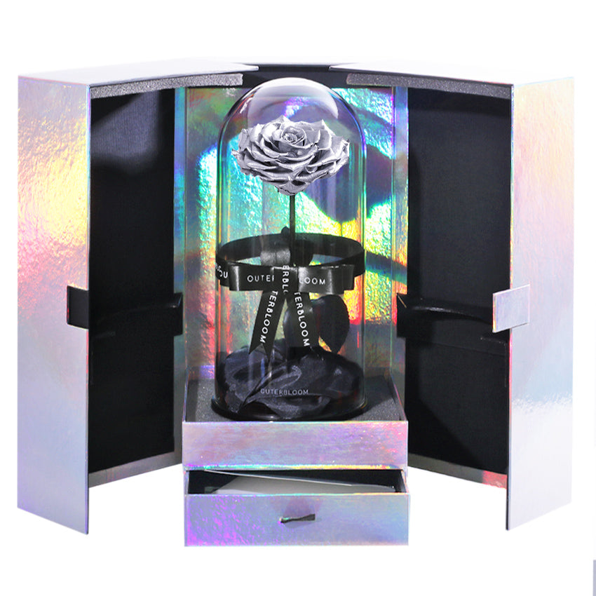 The Novo Enchanted Dome Special Edition - Moonlit Silver