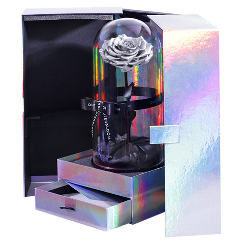 The Novo Enchanted Dome Special Edition - Moonlit Silver