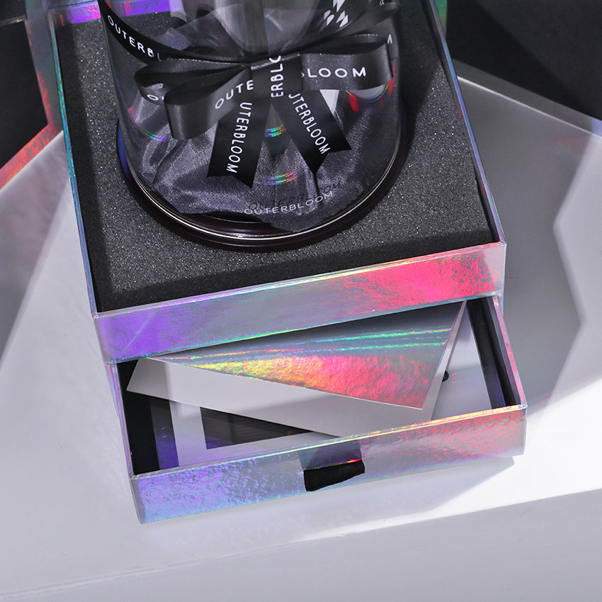 The Novo Enchanted Dome Special Edition - Velvet Monochrome