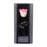 Enchanted Love Pirouette - Charming Pink