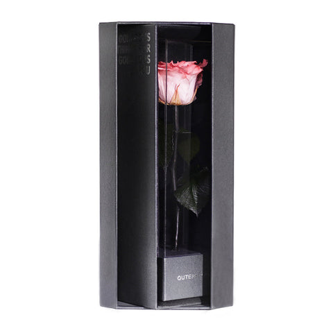 Enchanted Love Pirouette - Charming Pink