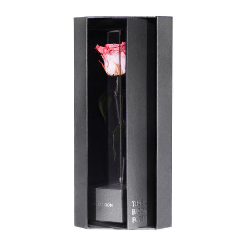 Enchanted Love Pirouette - Charming Pink