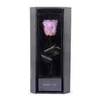 Enchanted Love Pirouette - Majestic Lilac