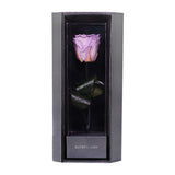 Enchanted Love Pirouette - Majestic Lilac