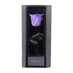 Enchanted Love Pirouette - Posh Purple
