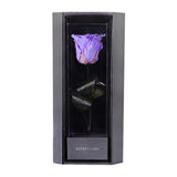 Enchanted Love Pirouette - Posh Purple